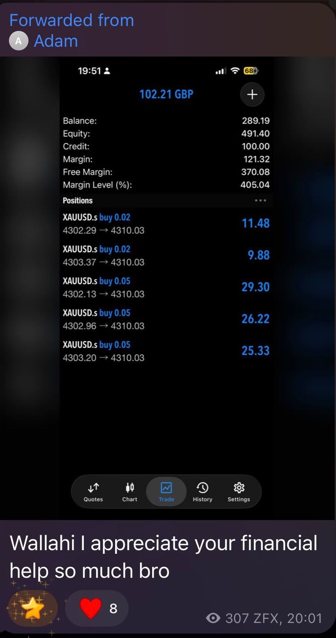 Telegram message from a BFX Trades member thanking the team, with a screenshot showing £102.21 profit