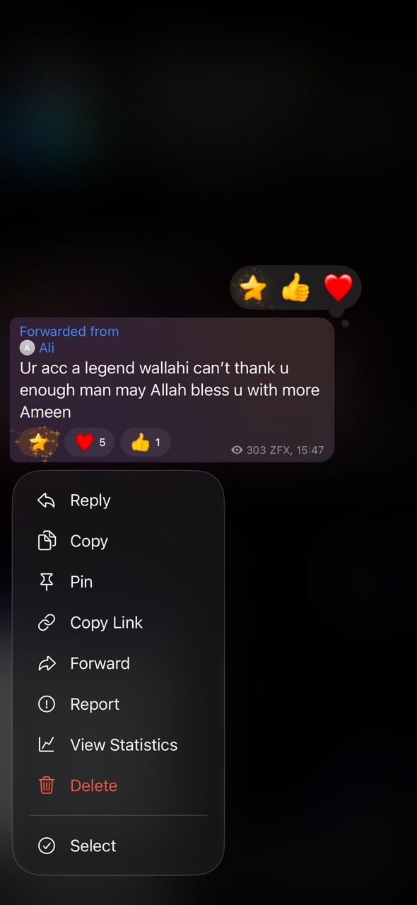 Telegram message forwarded from a BFX Trades member thanking the team for the trade ideas