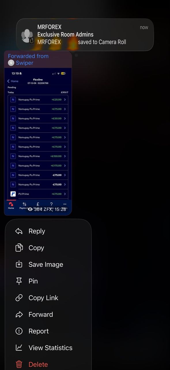 BFX Trades member trading screenshot forwarded in the BFX Trades Telegram group