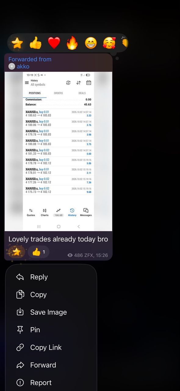 BFX Trades member sharing a trade screenshot with the message "Lovely trades already today"