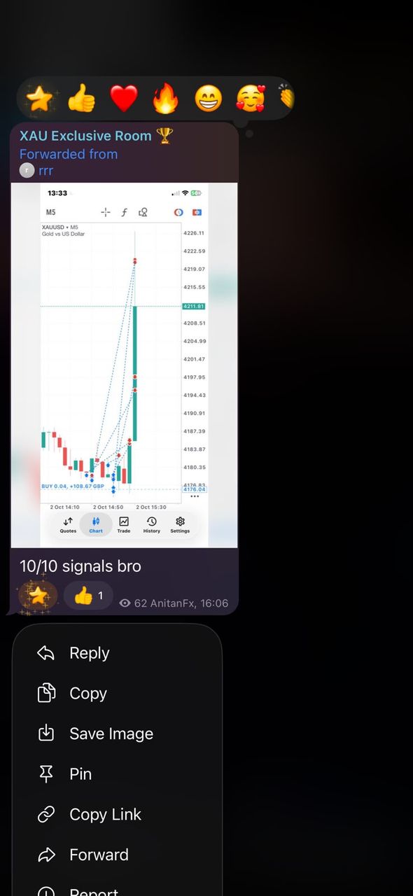 BFX Trades member sharing a gold chart with the message "10/10 signals"