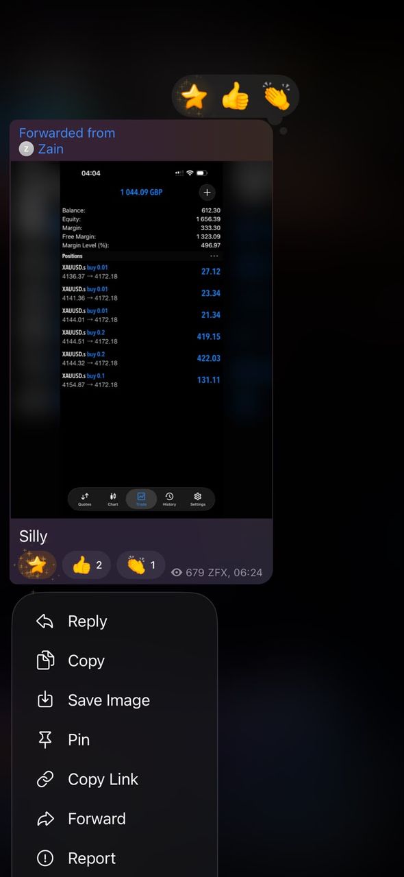 BFX Trades member sharing a profitable trading account screenshot in the Telegram group