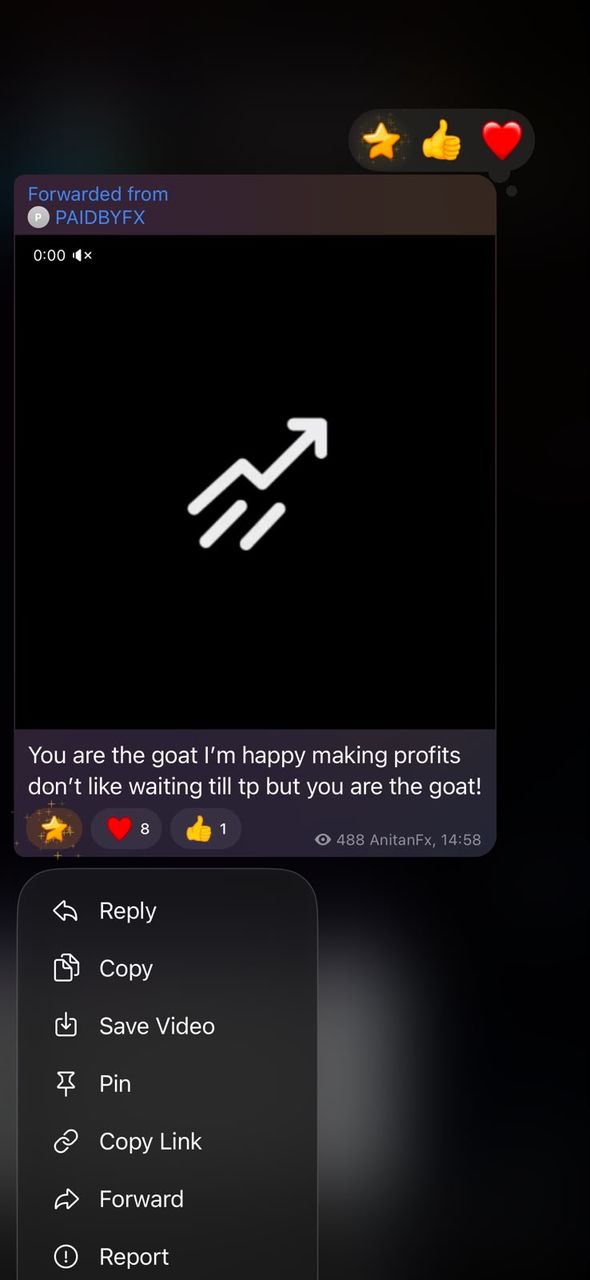 Telegram message from a BFX Trades member saying they are happy making profits