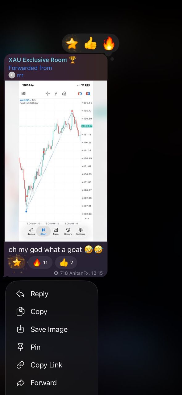BFX Trades member reacting to a gold chart move in the BFX Trades Telegram group