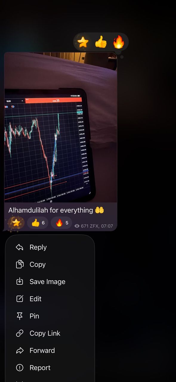 BFX Trades member sharing a gold chart on their phone with a thankful message