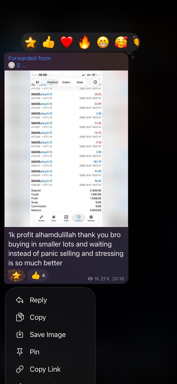 Telegram message from a BFX Trades member about a 1k profit from trading smaller lots and staying patient