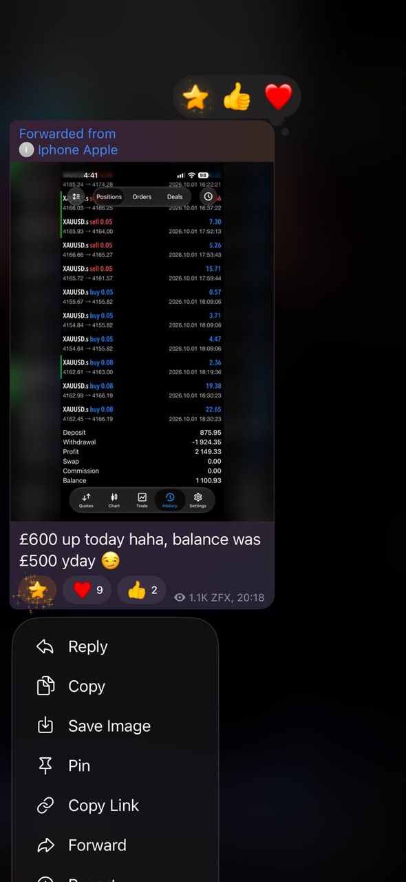 Telegram message from a BFX Trades member saying they were £600 up in a day on a £500 balance